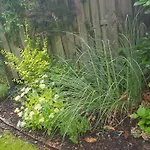 Lägenhet Wesergarten By Interhome *